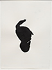 Susanna Heron, Black Brushstroke 13 / 78